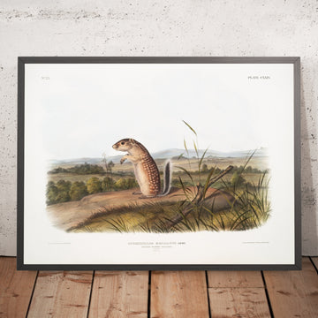 A framed image of 