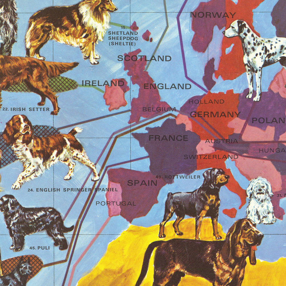 Pictorial Dog Breed World Map by Langeneckert, 1968