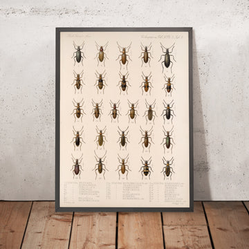 A framed image of 