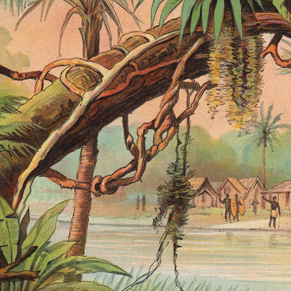 Tropical Zone by Yaggy, 1893