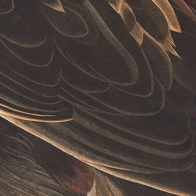 Goldener Adler von John James Audubon, 1827 