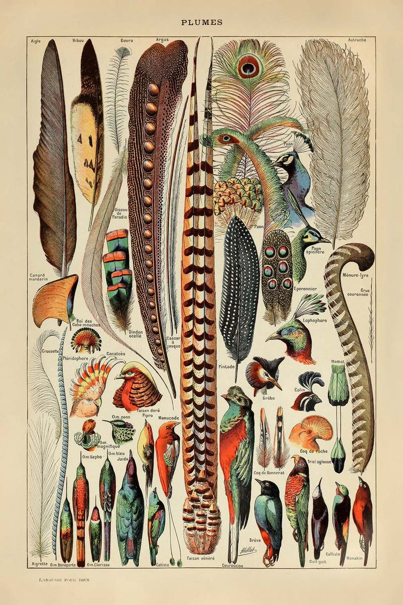 Visualiser thumbnail artwork