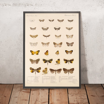 A framed image of 