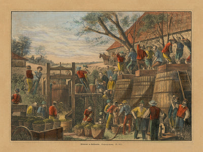 First California Wine Making Image by Harper's Weekly, 1878