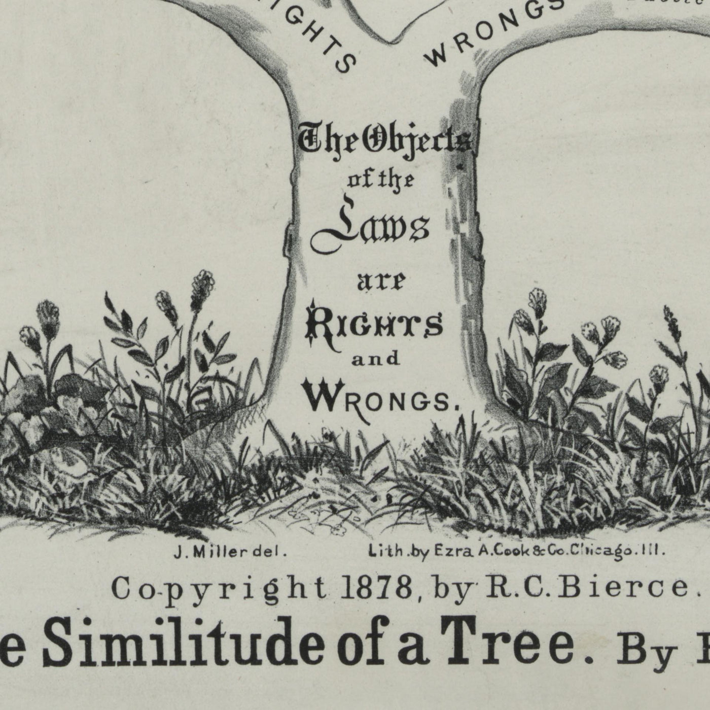 Anwaltsbüro-Plakat, 1878: Gewohnheitsrecht als Baum von RC Bierce, 1878 