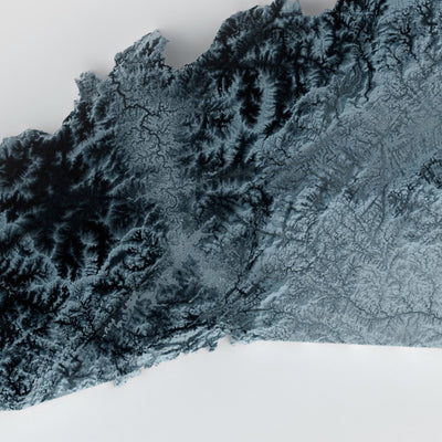 Mapa de Relieve Topográfico 3D de Carolina del Norte 