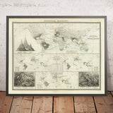 Carte de l'Ancien Monde de la répartition des reptiles par Johnston, 1856 : serpents, lézards et autres illustrations de reptiles