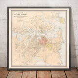 Ancienne carte de Sydney en 1890 par Bartholomew - Port Jackson, Potts Point, rivière Parramatta, Botany Bay, Darling Point