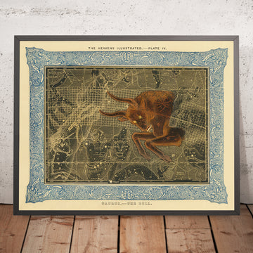 Toro, Il Toro di Duncan Bradford, 1837 