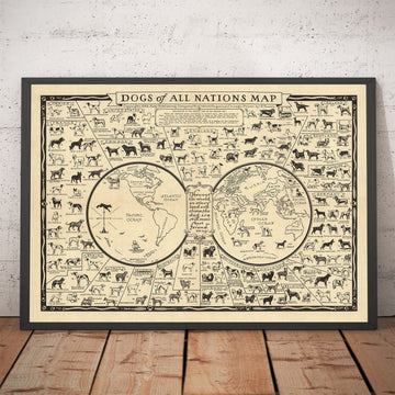 Alter Hundekarte, 1936 - Weltatlas-Diagramm der Rassen - Terrier, Bulldogge, Mops, Deutscher Schäferhund, Husky, Retriever, Schäferhund 