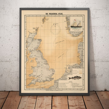 Old Haddock Fish Map of the North Sea, 1883 by O.T. Olsen - Haddock Fishing, Distribution, Spawning, Etc.