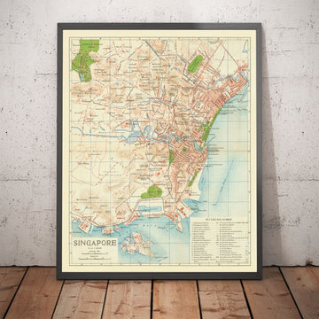 Rara Mappa Antica di Singapore, 1917 - Colonia dell&