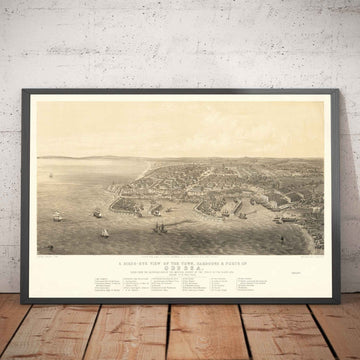 Old Map of Odessa, Ukraine, 1855 - Black Sea Harbour Town - Forts, Citadel, Centre-ville - illustration des oiseaux d&